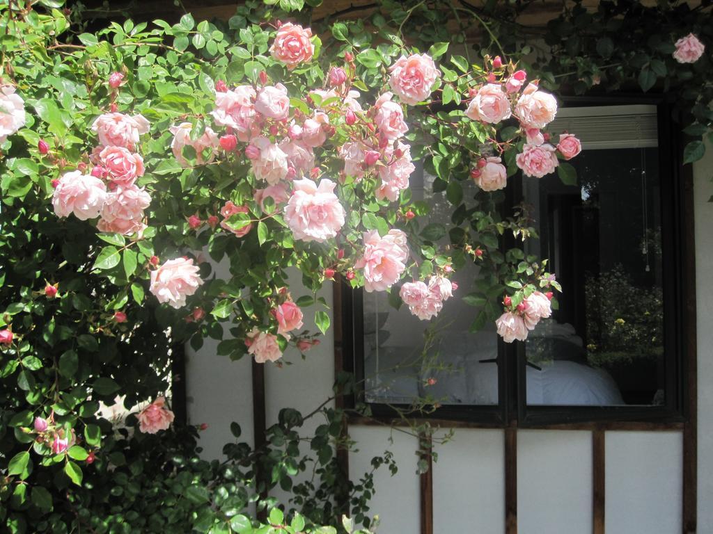 Rose Cottage At The Elms Крайстчёрч Номер фото